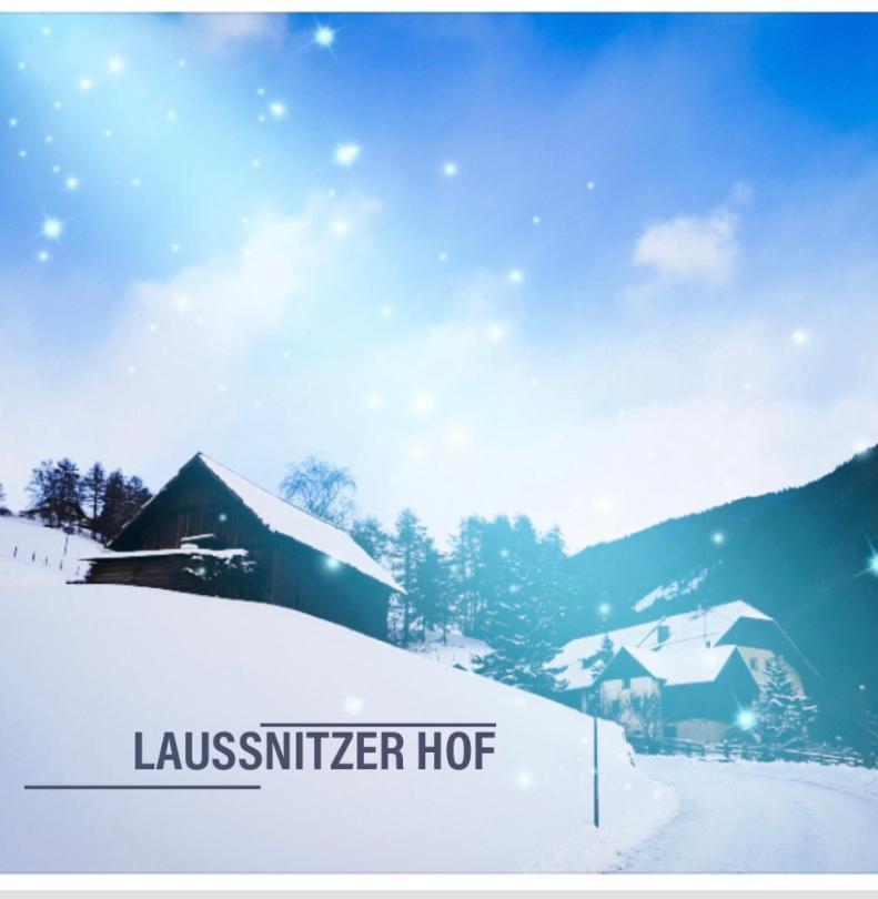 Ferienwohnung Biohof Laussnitzer In Rennweg Rennweg am Katschberg Екстер'єр фото