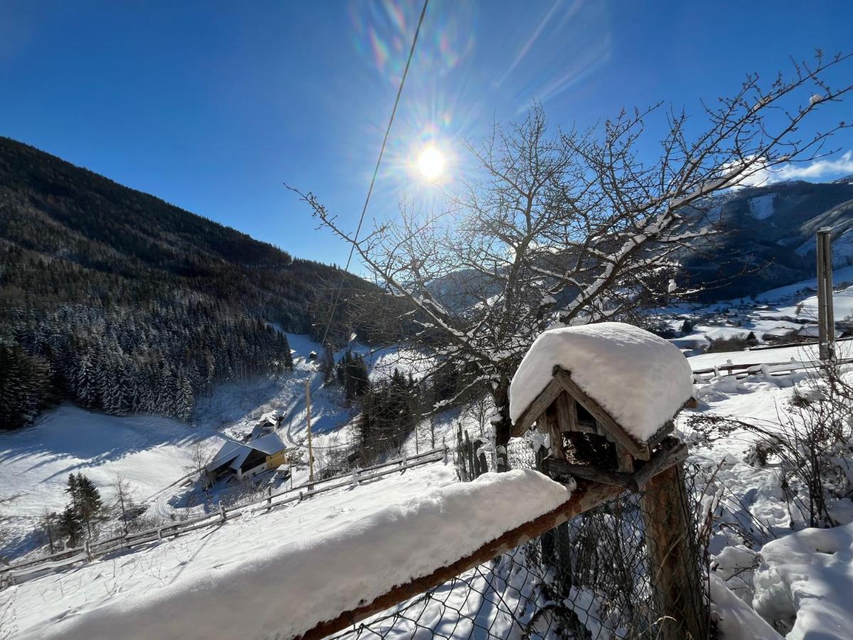 Ferienwohnung Biohof Laussnitzer In Rennweg Rennweg am Katschberg Екстер'єр фото