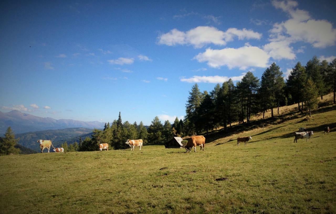 Ferienwohnung Biohof Laussnitzer In Rennweg Rennweg am Katschberg Екстер'єр фото