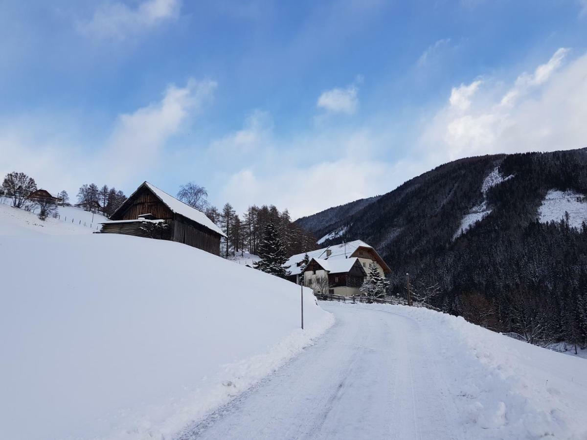 Ferienwohnung Biohof Laussnitzer In Rennweg Rennweg am Katschberg Екстер'єр фото